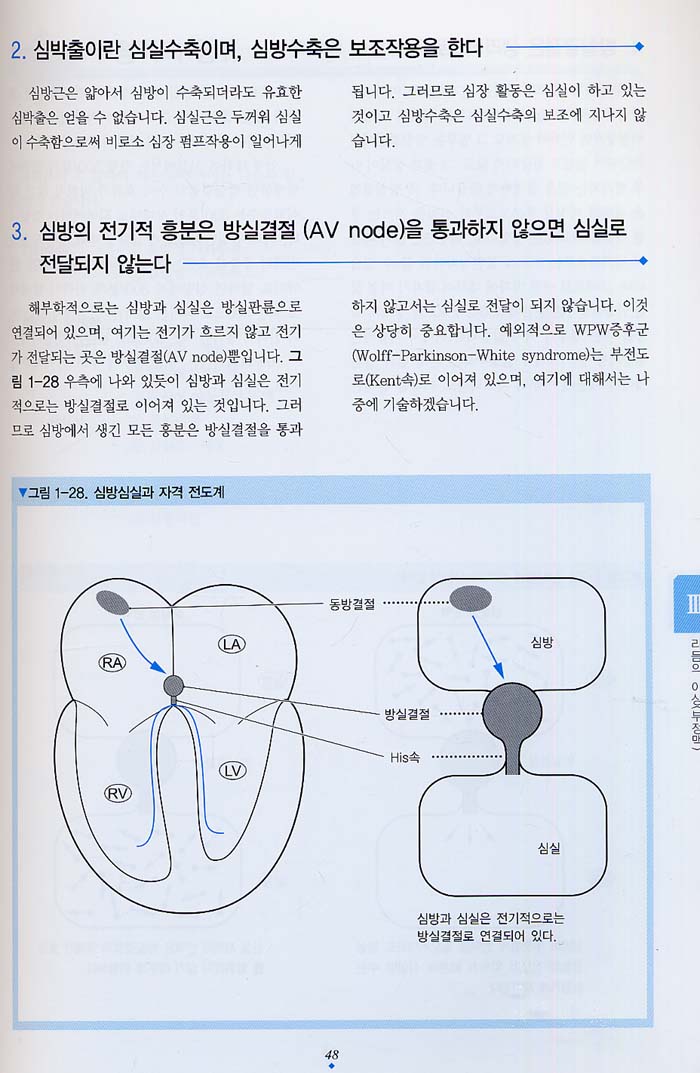 심장초음파,심전도 판독법 - 쉽게 이해하는