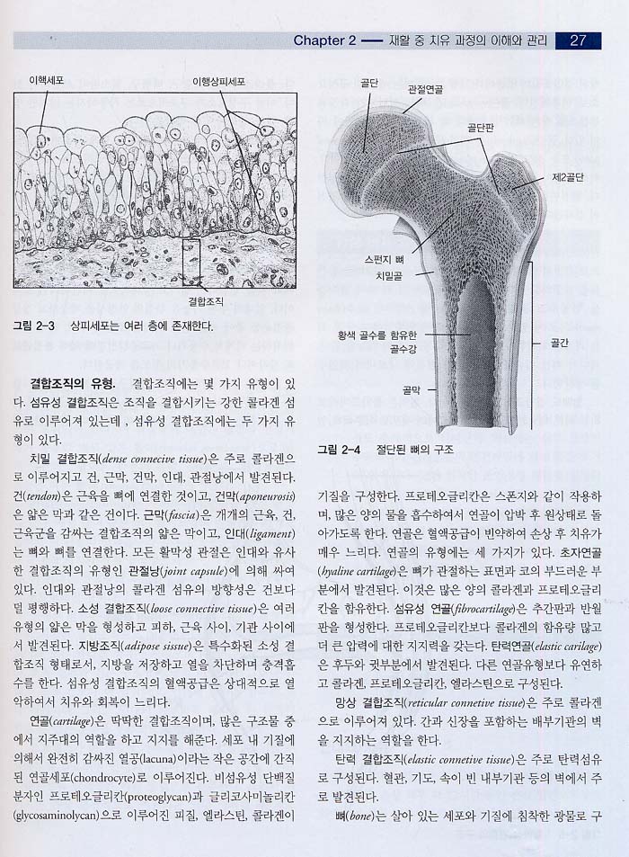 스포츠 재활 총론 (Rehabilitation Techniques for Sports Medicine,4/e)