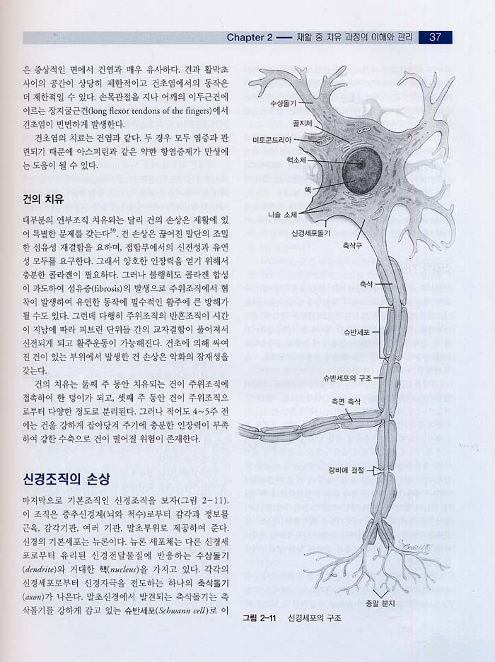 스포츠 재활 총론 (Rehabilitation Techniques for Sports Medicine,4/e)