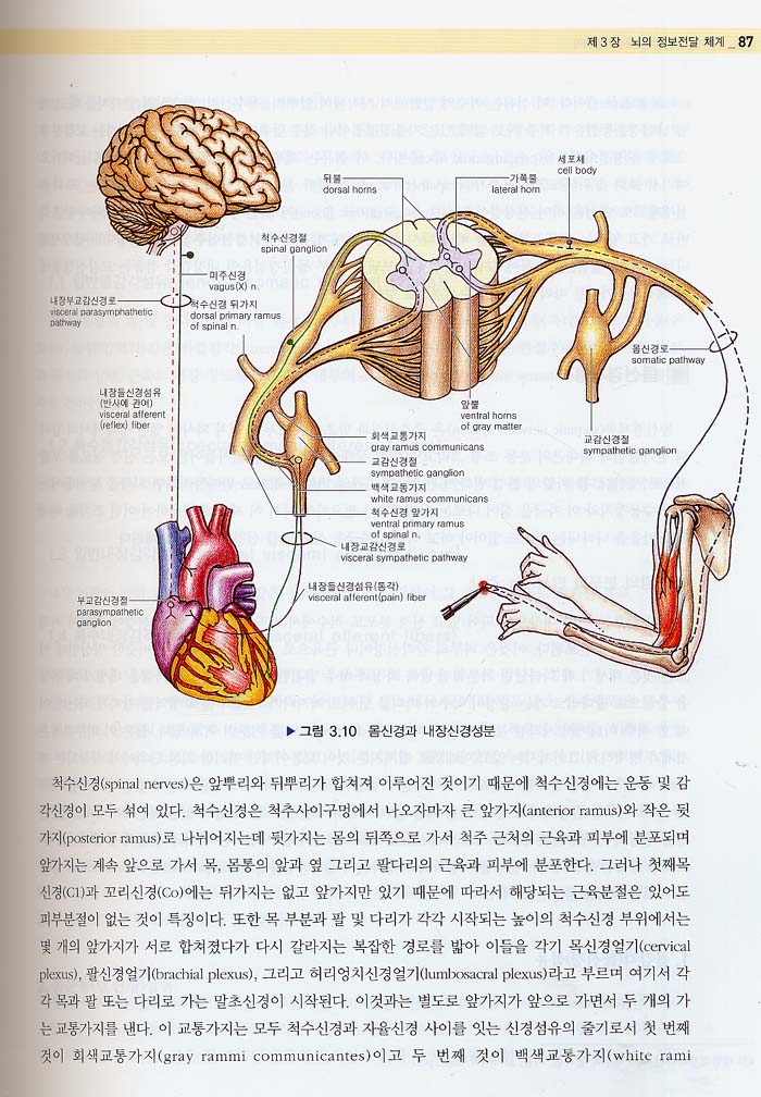 악관절을 이용한 전신 치료의학 (전3권)