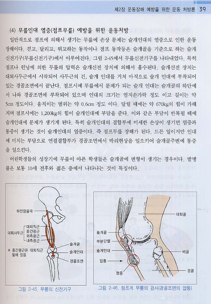 운동지도사매뉴얼