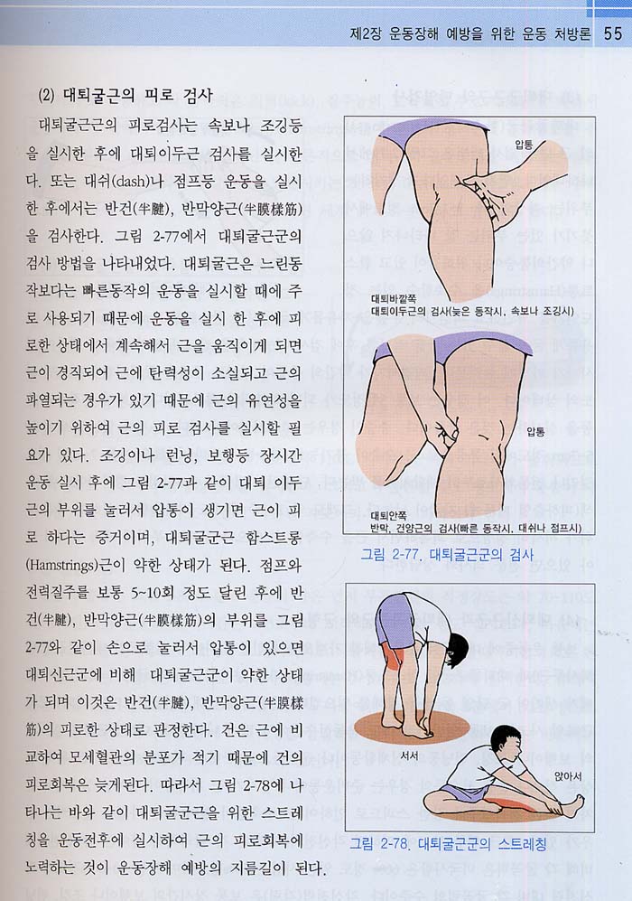 운동지도사매뉴얼