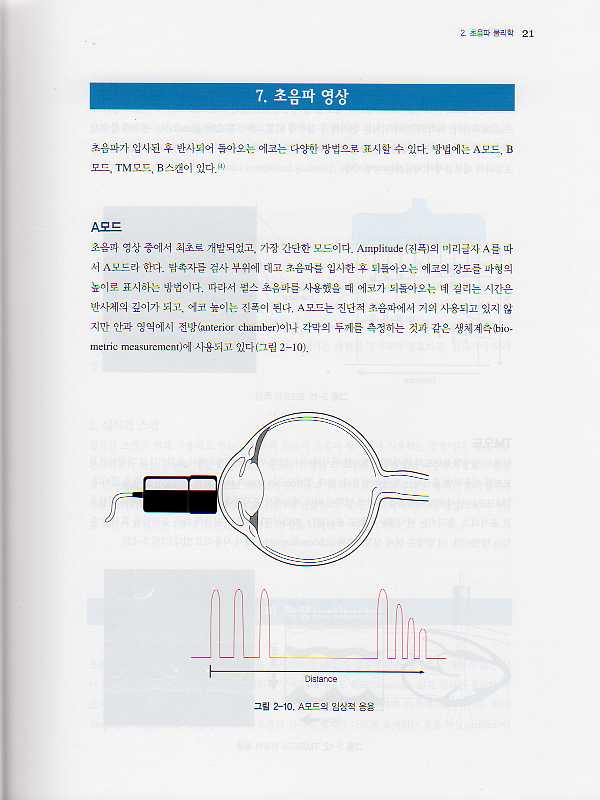 혈관초음파-Vascular Ultrasonography