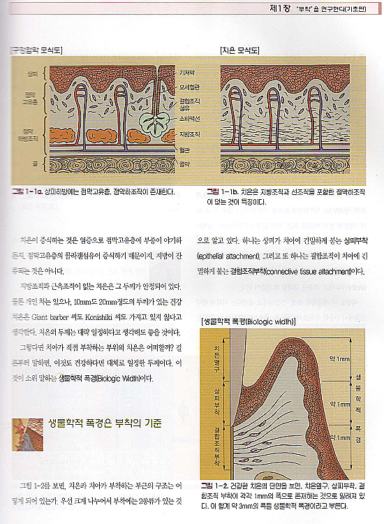 일러스트로 배우는 치주생물학