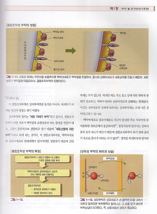 일러스트로 배우는 치주생물학