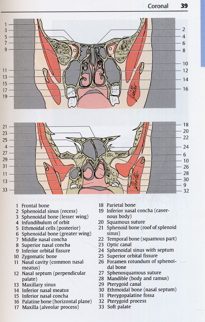 Pocket Atlas of Sectional AnatomyComputed Tomography and Magnetic Resonance Imaging Volume I: Head and Neck 3th