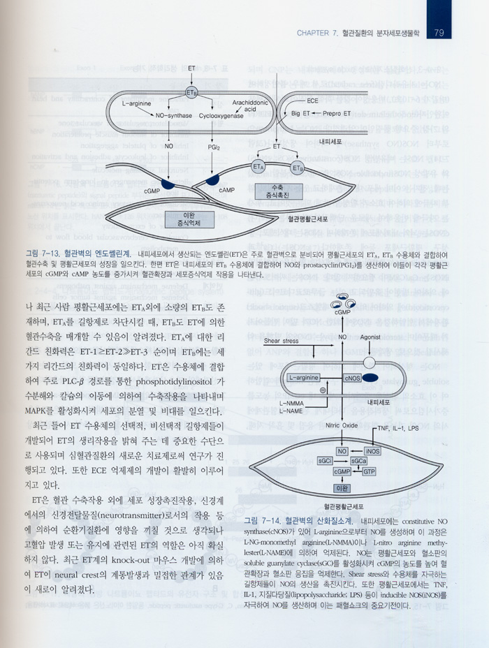 임상심장학 (CLINICAL CARDIOLOGY) 2판