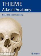 Atlas of Anatomy : Head and Neuroanatomy (하드카바)