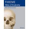 Atlas of Anatomy : Head and Neuroanatomy (하드카바)