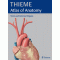 Atlas of Anatomy : Head and Neuroanatomy (Softcover)