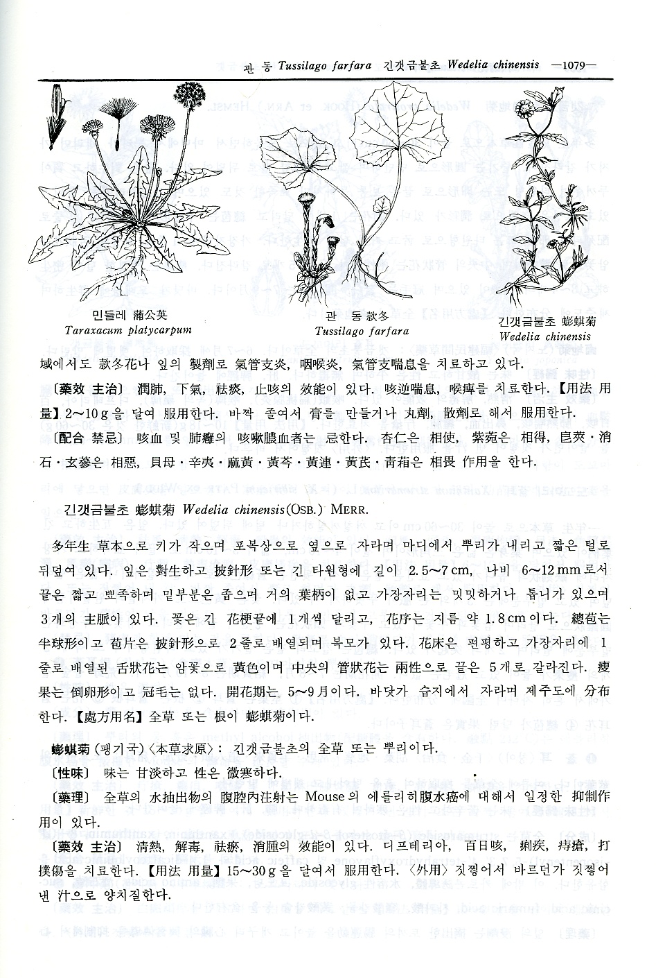 도해향약대사전 (생약)