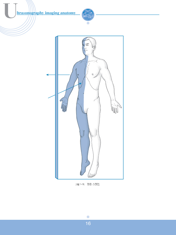 초음파영상해부학(DVD포함)