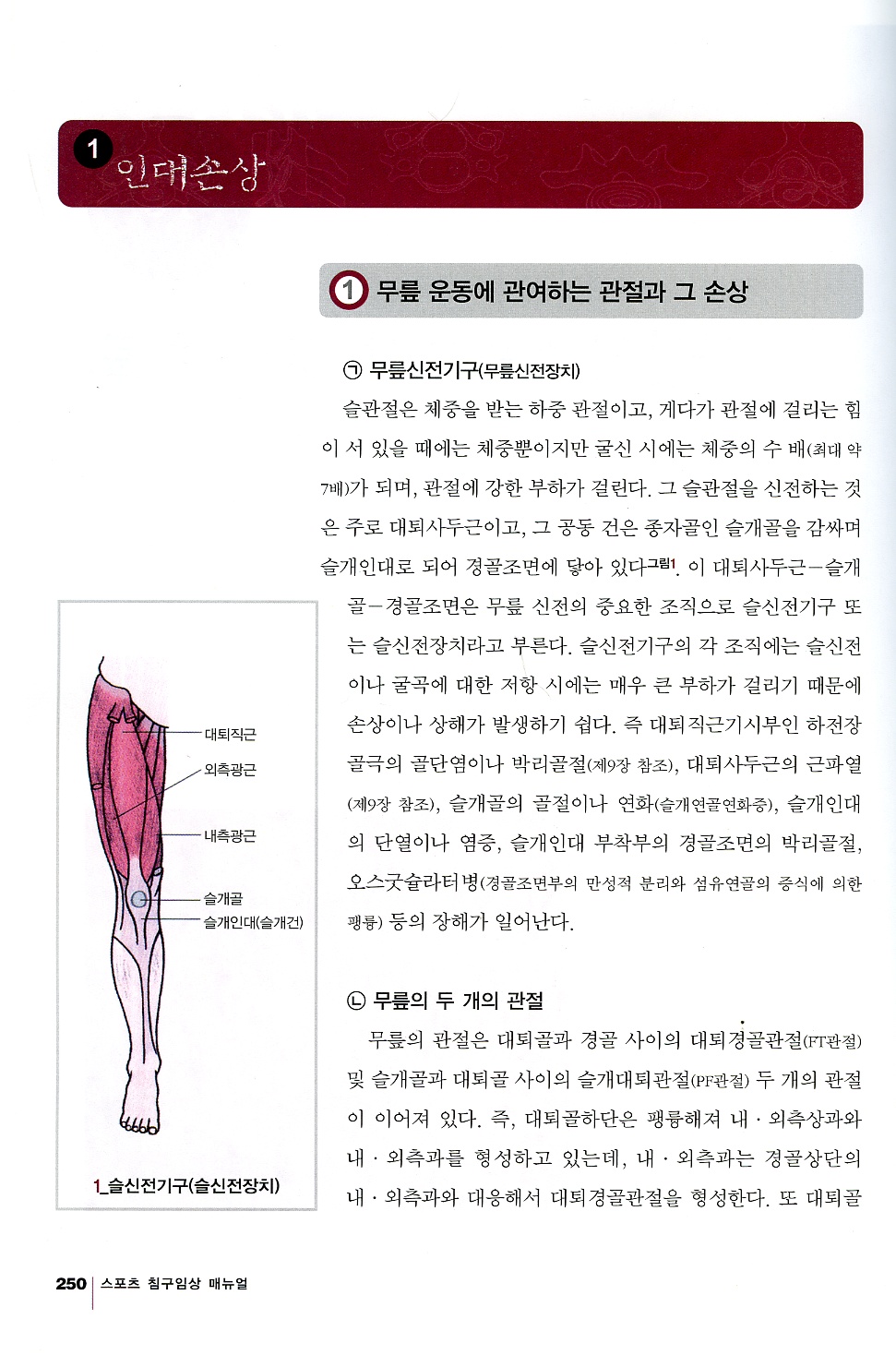 스포츠침구임상매뉴얼