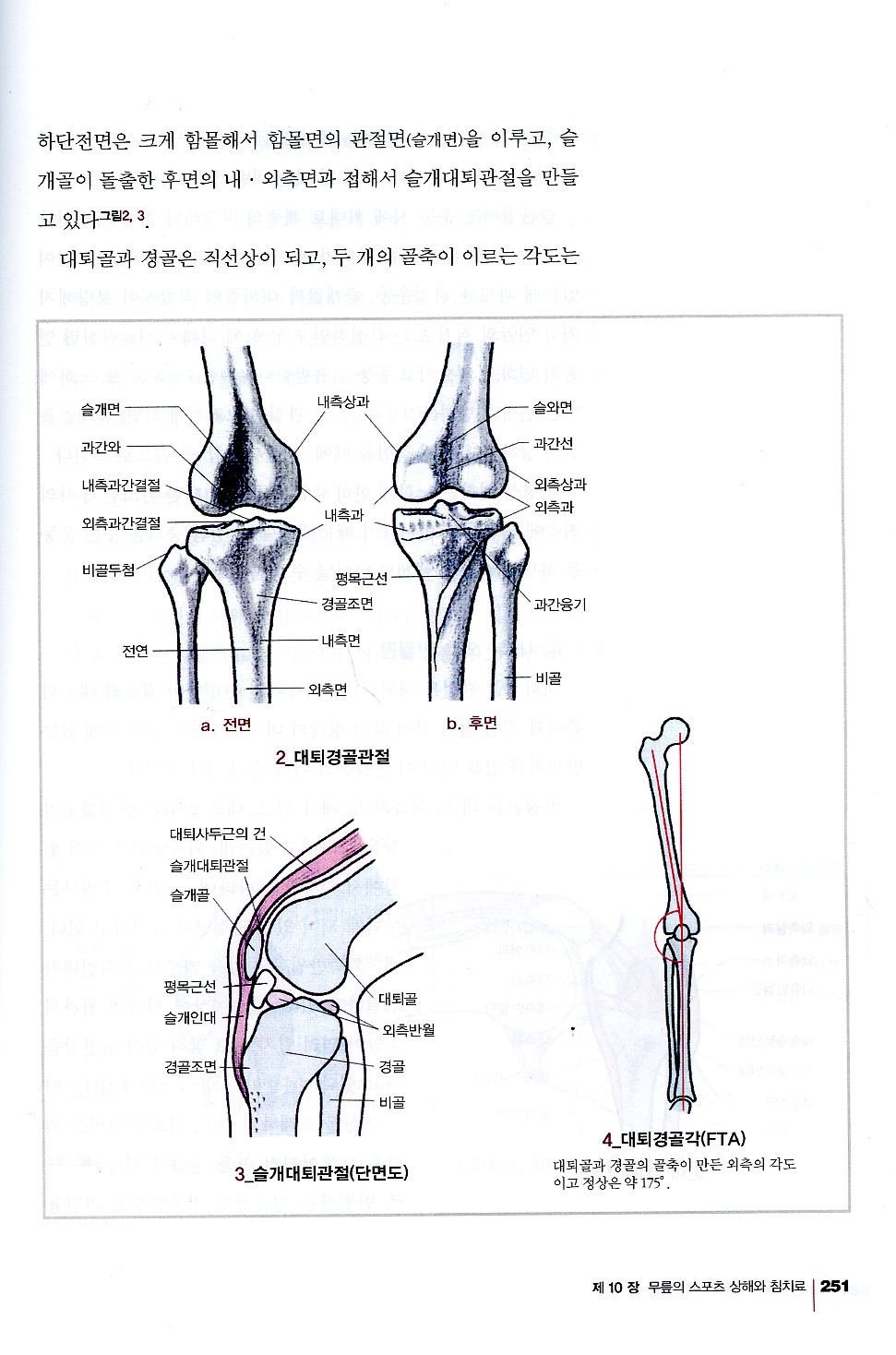 스포츠침구임상매뉴얼