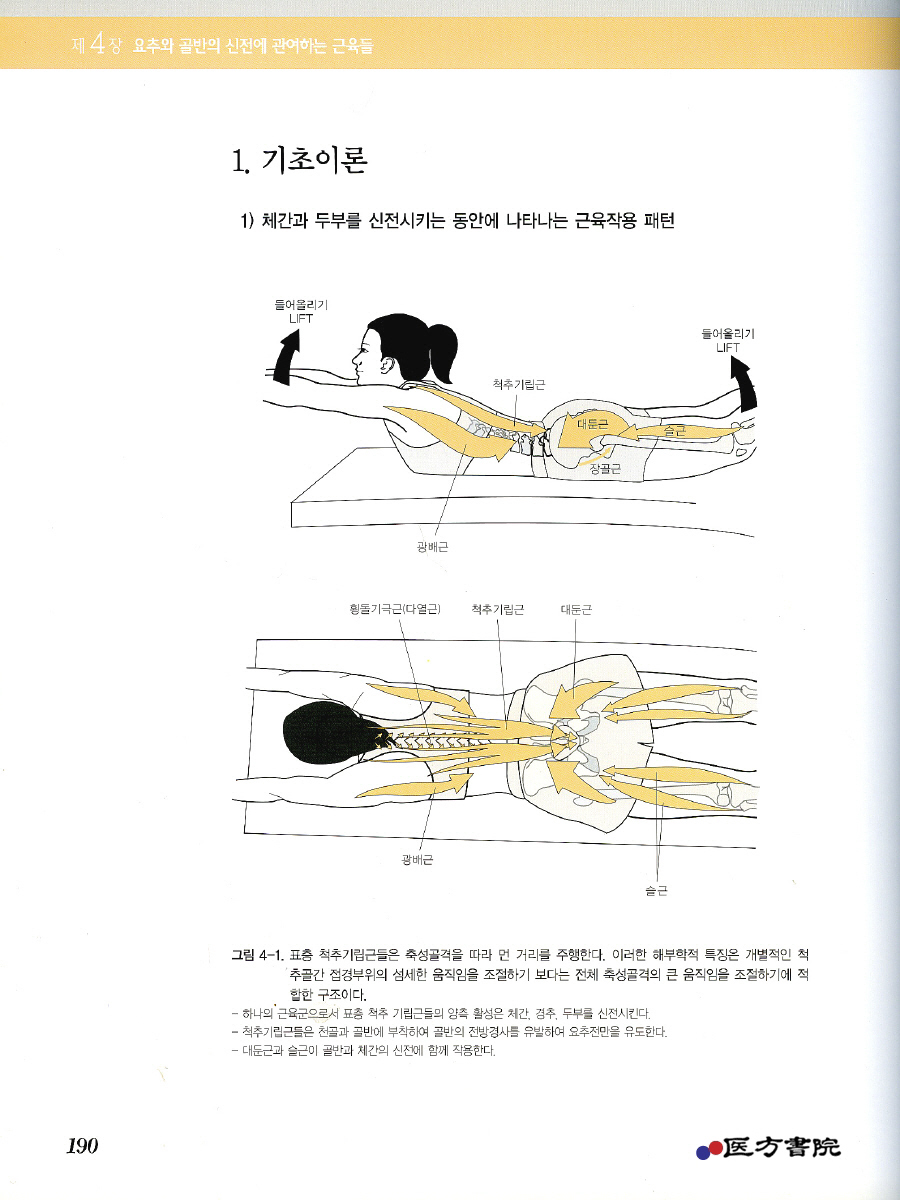 개원의를 위한 통증일차진료학 제2권 ( 요추. 골반 )