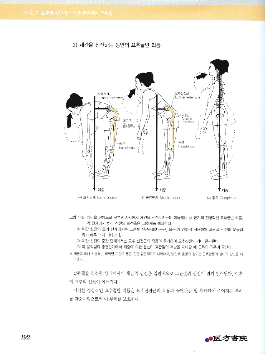 개원의를 위한 통증일차진료학 제2권 ( 요추. 골반 )