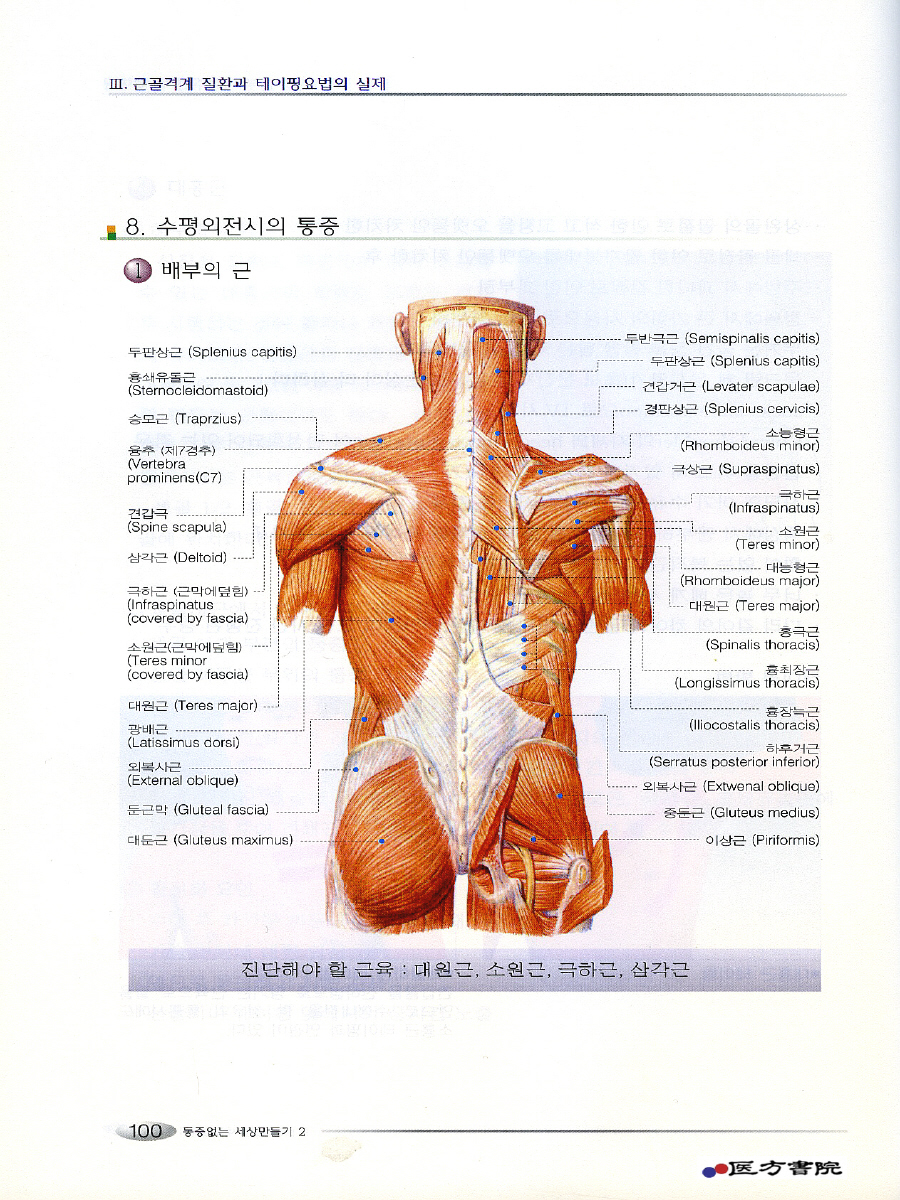 근골격계 질환과 테이핑요법의 임상실제 (통증없는 세상만들기 2)