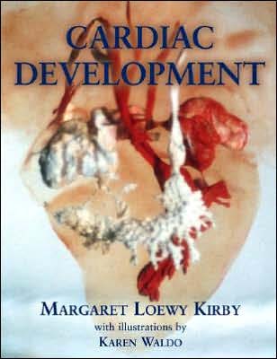 Cardiac Development