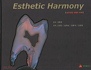 Esthetic Harmony - 심미교합 보철의 세계