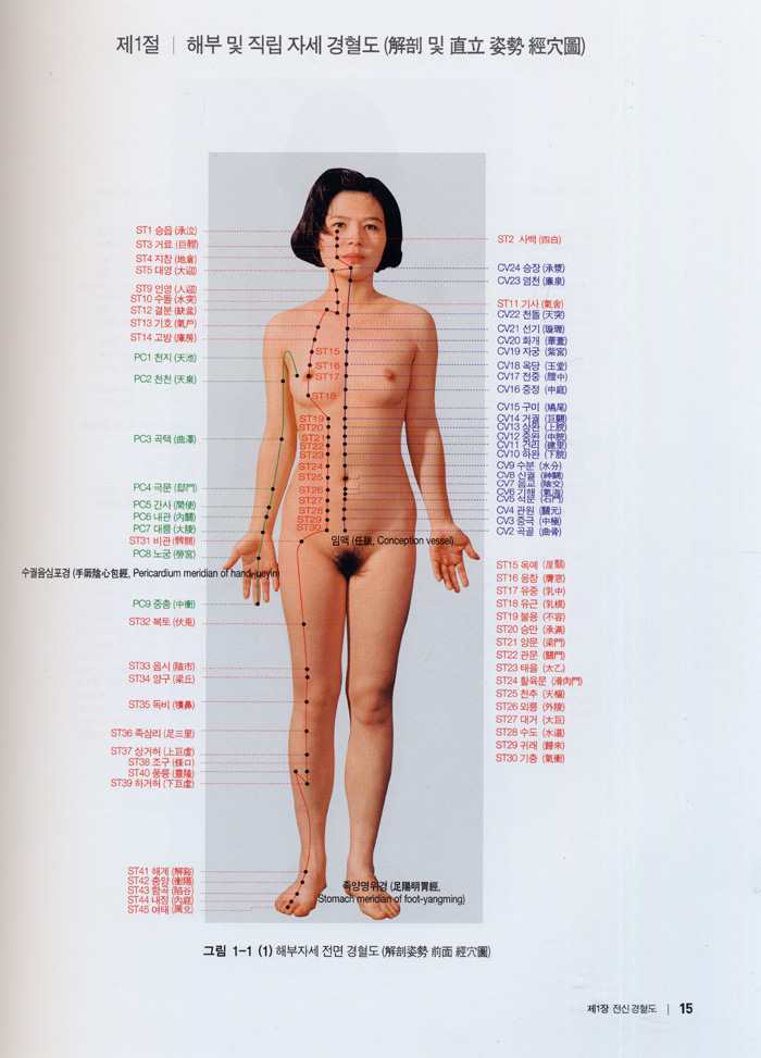 임상경혈단면해부도해 - 바른 취혈, 심도와 침향 탐색을 위한