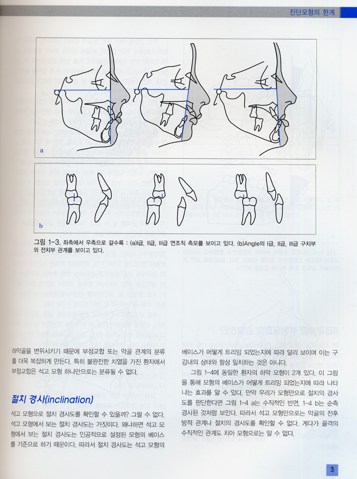 두부규격 방사선 계측학 - (CD 포함)