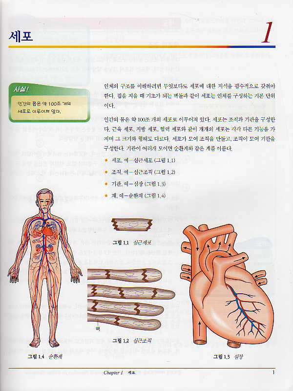 홀리스틱테라피스트를 위한 해부 생리학