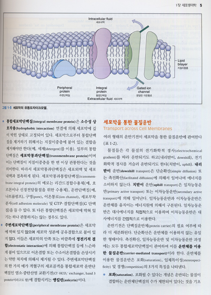 생리학 (3판) - Costanzo