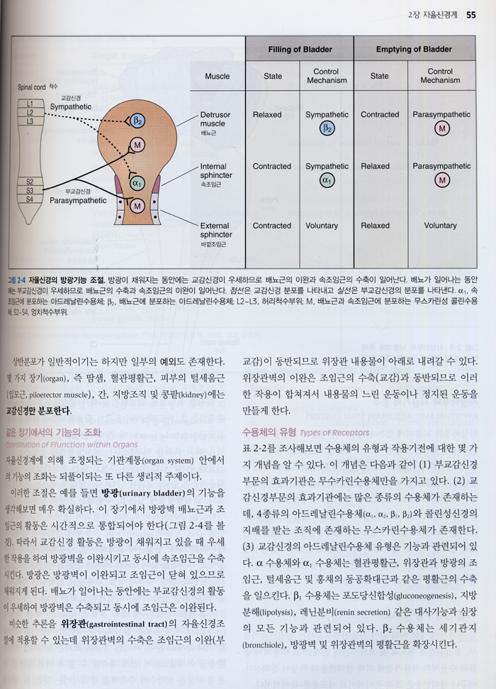 생리학 (3판) - Costanzo