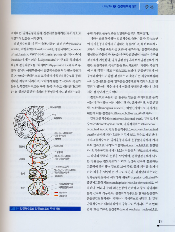 신경학(수정판)