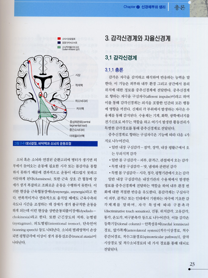 신경학(수정판)