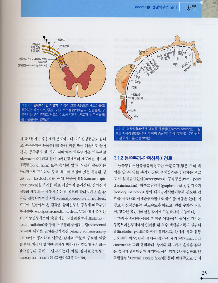 신경학(수정판)