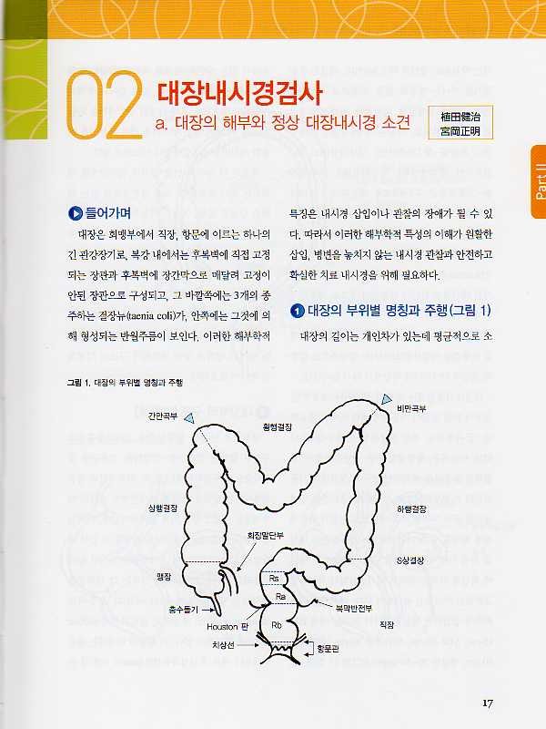 대장내시경 진단과치료