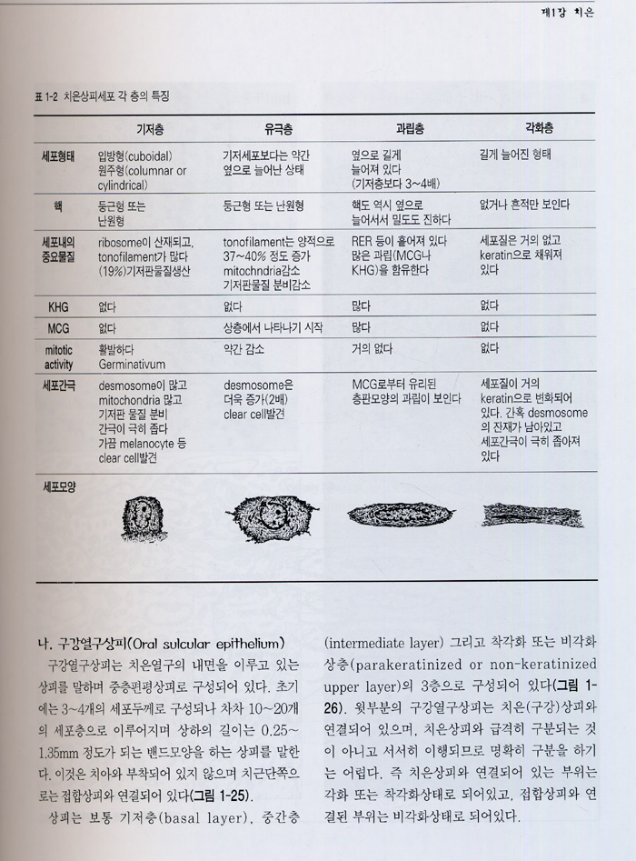 기초 및 임상치주과학