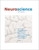 Neuroscience (4/e)