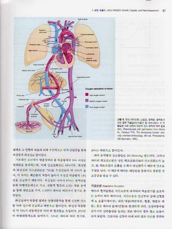 기형태아 초음파, 영상진단