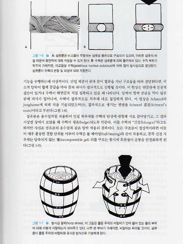 맥납의요통-Macnab's Backache4e