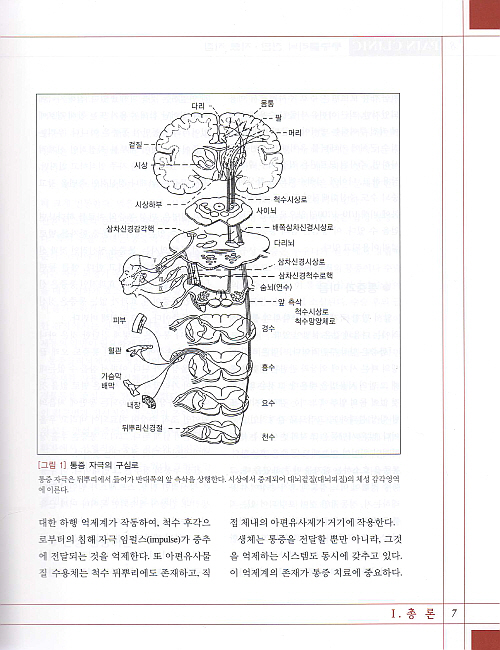 통증클리닉 진단치료 지침, 3/e