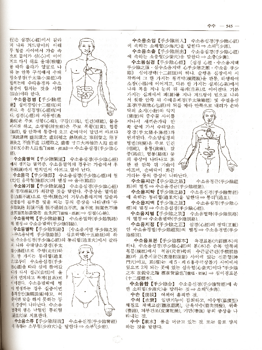 한의학용어대사전