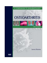 Osteoarthritis - A Companion to Rheumatology