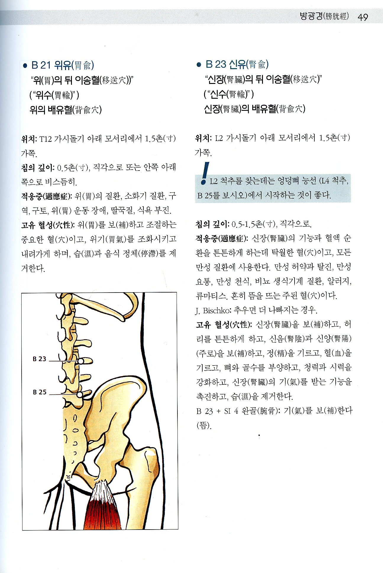 Color Atlas of Acupuncture 체침 이침 통증유발점