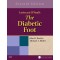 Levin & O'Neal's The Diabetic Foot,7/e-with CD-ROM
