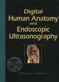 Digital Human Anatomy and Endpscopic Ultrasonography