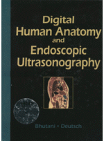 Digital Human Anatomy and Endpscopic Ultrasonography