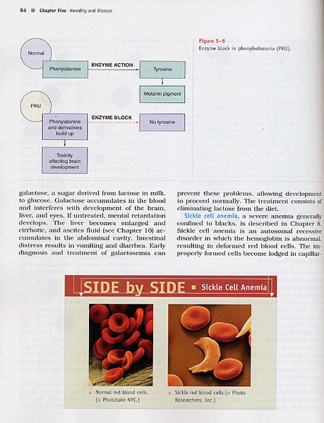 Human Diseases: A Systemic Approach, 6/e