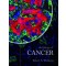 The biology of cancer