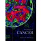 The biology of cancer