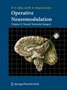 Operative Neuromodulation Vol. 2: Neural Networks Surgery