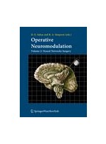 Operative Neuromodulation Vol. 2: Neural Networks Surgery