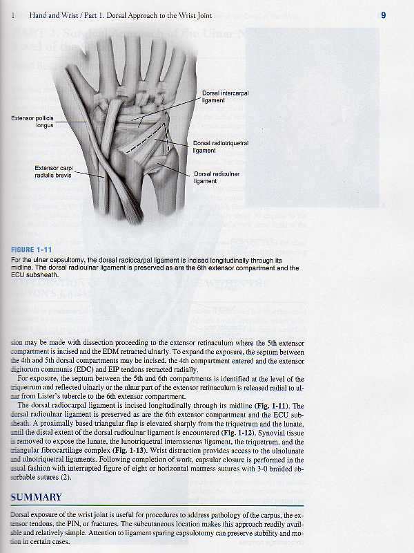 Master Techniques in Orthopaedic Surgery: Relevant Surgical Exposures