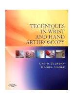 Techniques in Wrist and Hand Arthroscopy with DVD